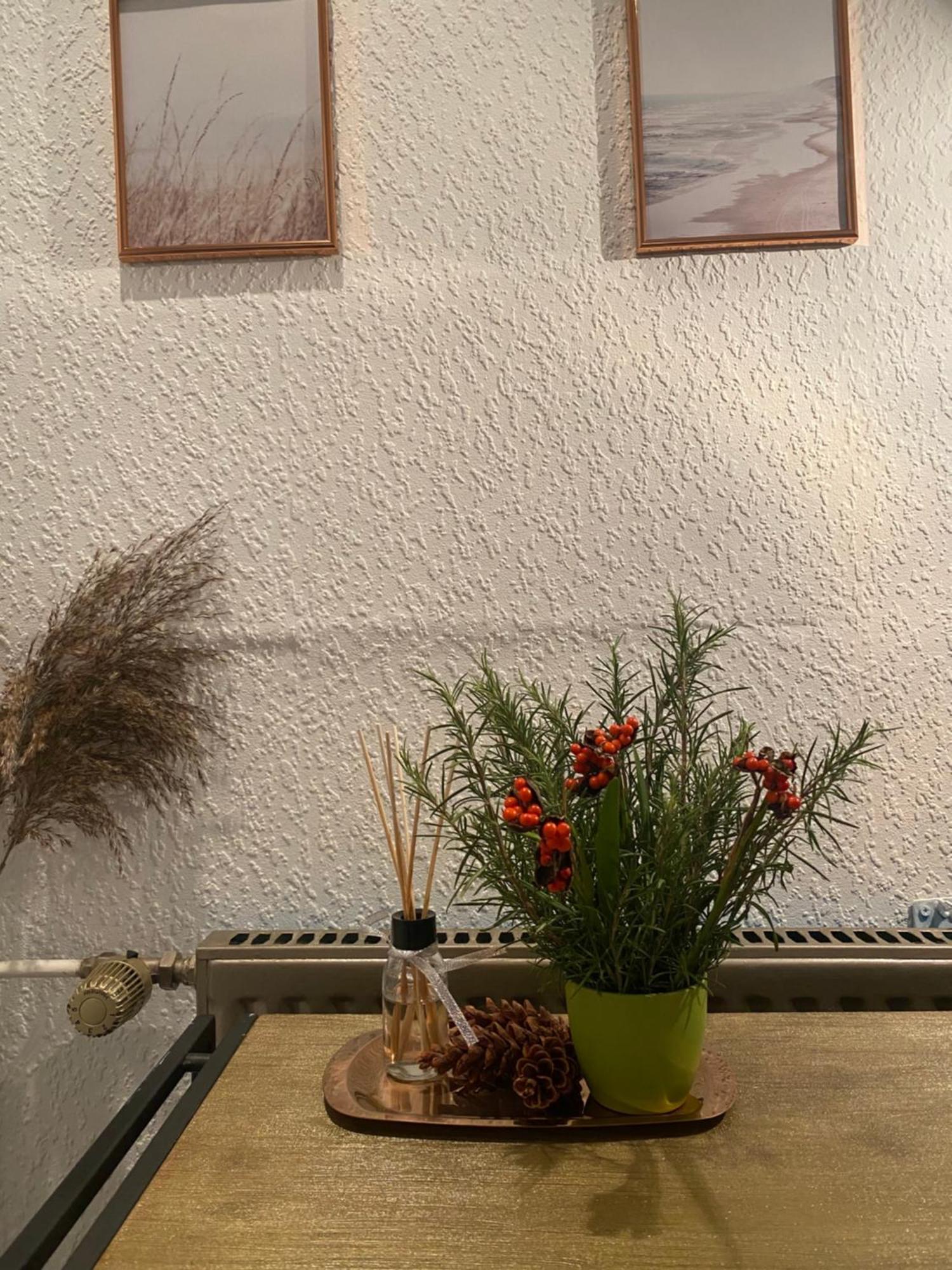 Alte Schmiede In Der Altstadt Von Sankt Goarshausen Buitenkant foto